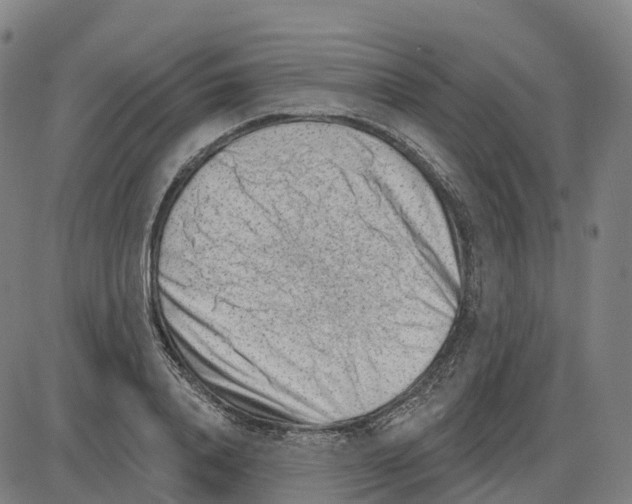 X0000083990840200703161621