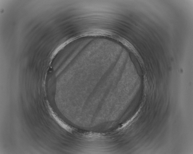 X0000083990842200703161621