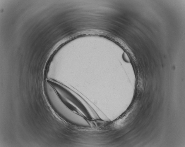 X0000083990845200703161621