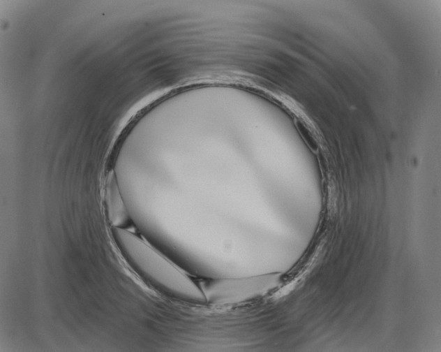 X0000083990846200703161621