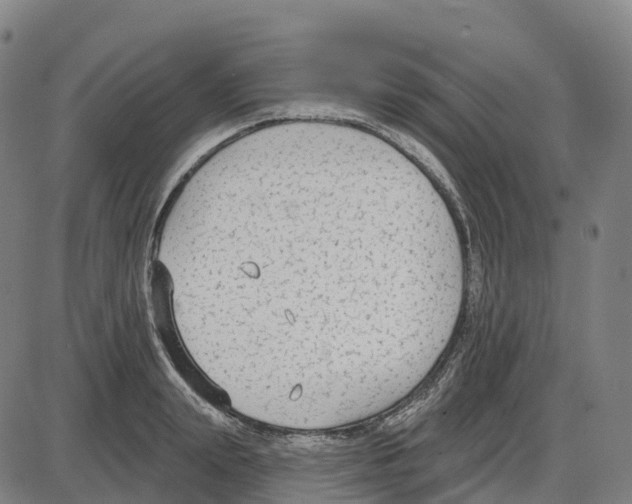 X0000083990847200703161621