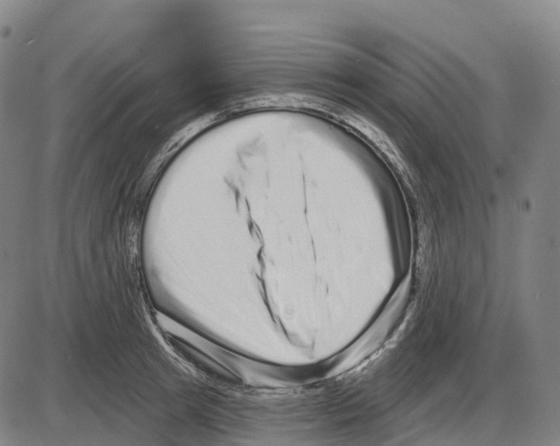 X0000083990849200703161621