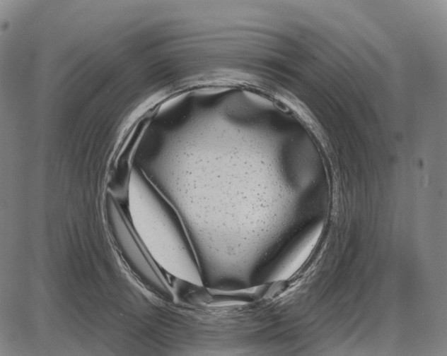 X0000083990850200703161621