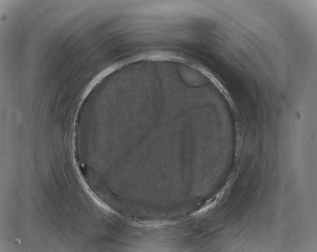 X0000083990853200703161621