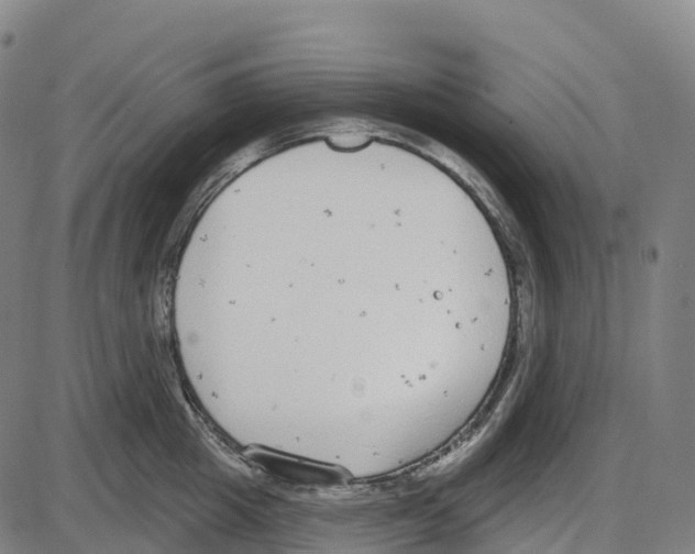 X0000083990857200703161621