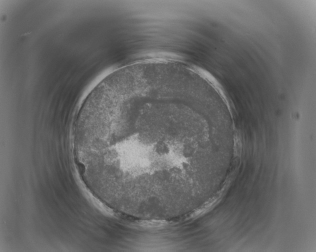 X0000083990859200703161621