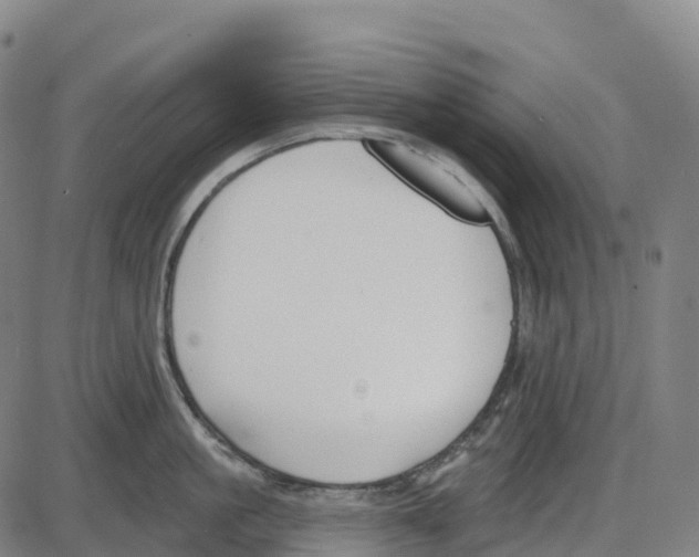 X0000083990861200703161621