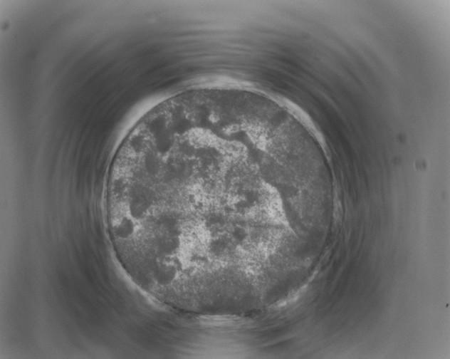 X0000083990863200703161621