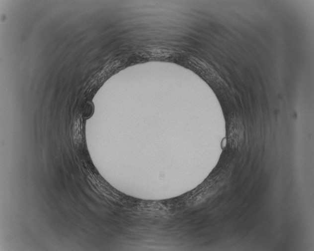 X0000083990866200703161620