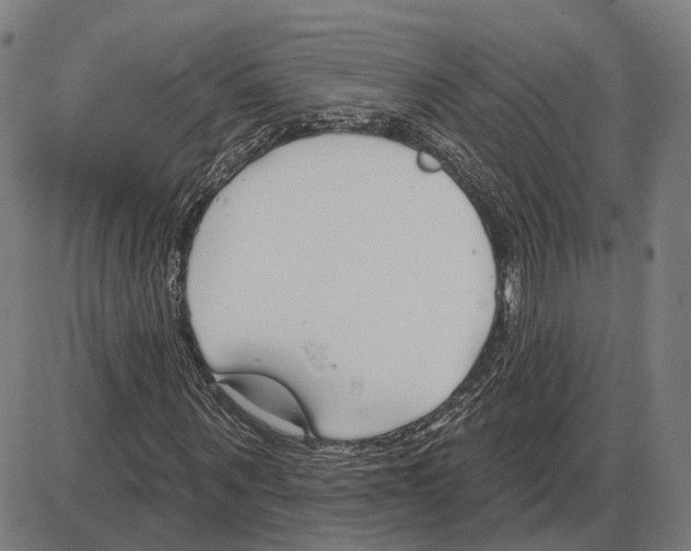 X0000083990867200703161620