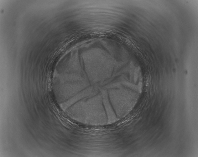 X0000083990868200703161620