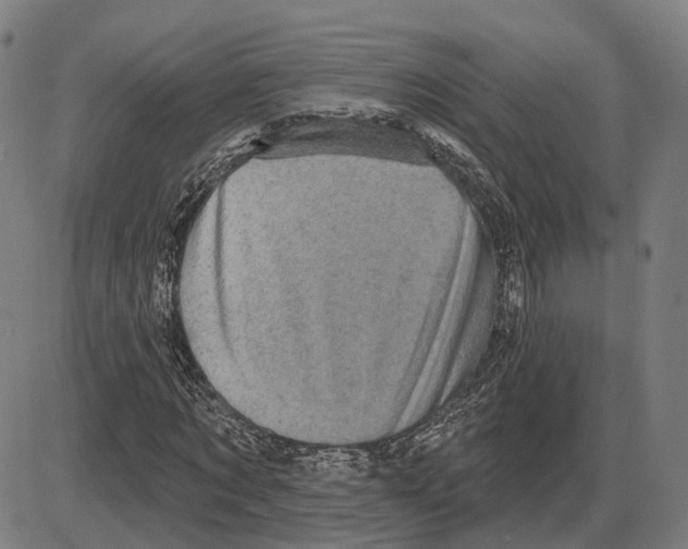 X0000083990869200703161620