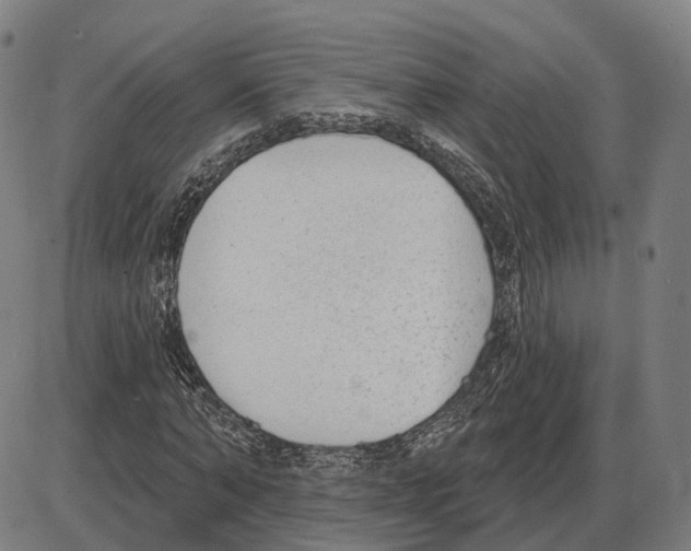 X0000083990870200703161620