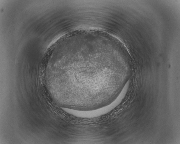 X0000083990871200703161620