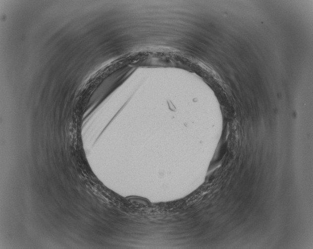 X0000083990872200703161620