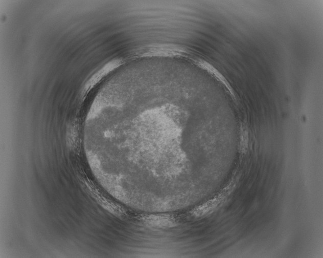 X0000083990874200703161620