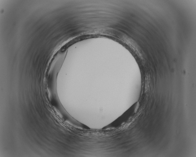 X0000083990876200703161620