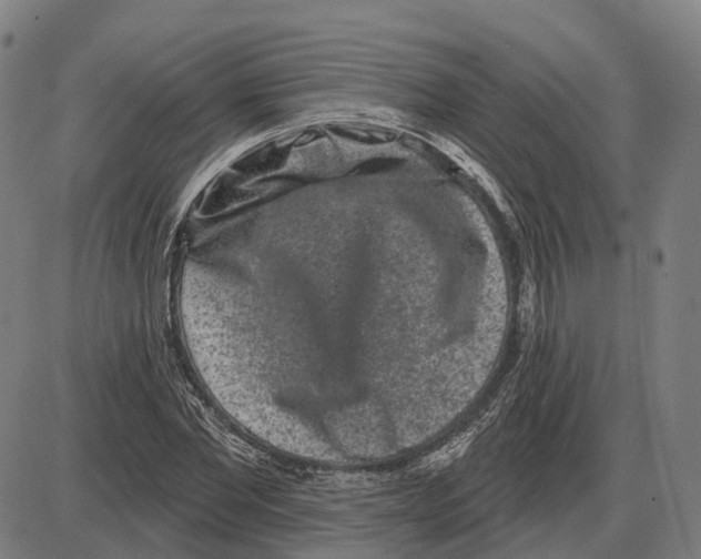 X0000083990877200703161620