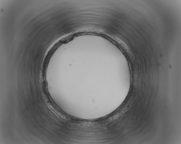 X0000083990880200703161620