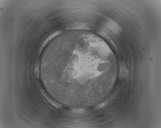 X0000083990882200703161620