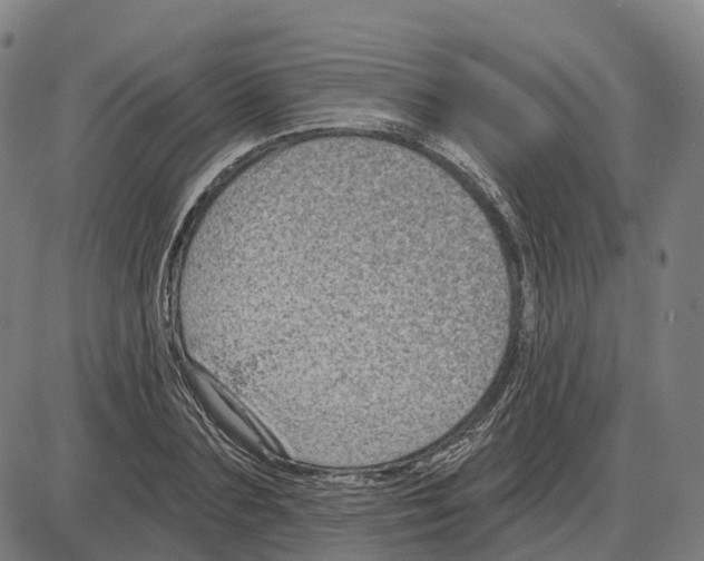 X0000083990883200703161620