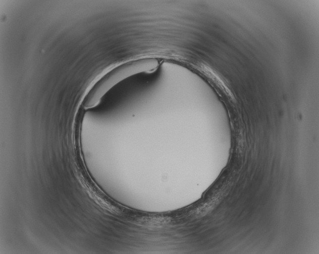 X0000083990884200703161620