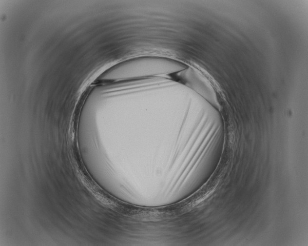 X0000083990885200703161620