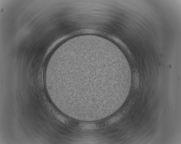 X0000083990886200703161620