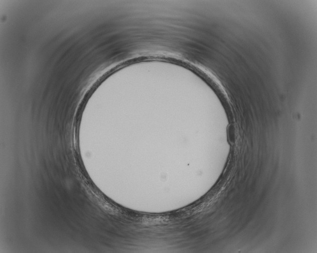 X0000083990887200703161620