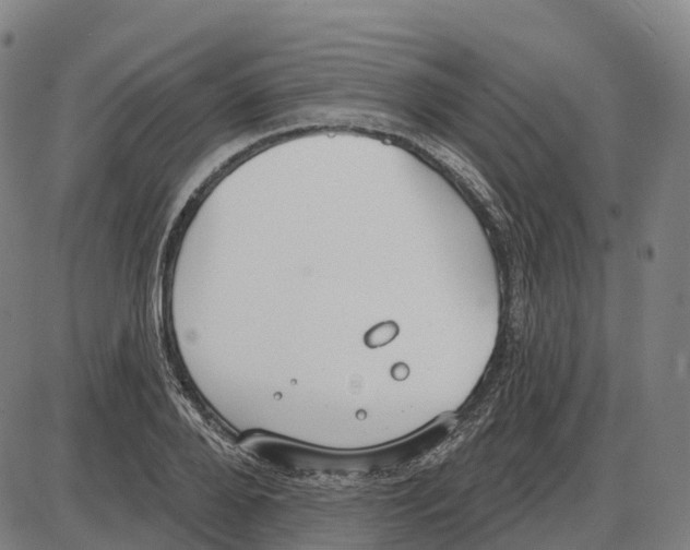 X0000083990888200703161620