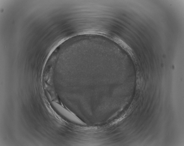 X0000083990892200703161620