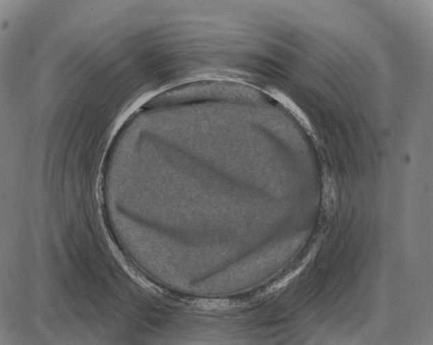 X0000083990893200703161620