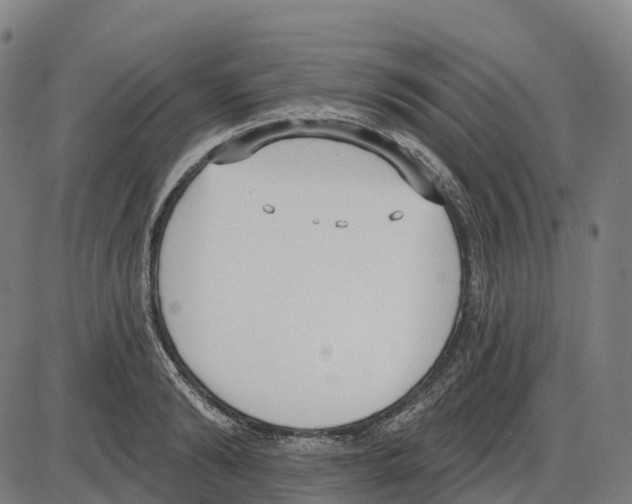 X0000083990894200703161620