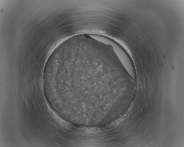 X0000083990895200703161620