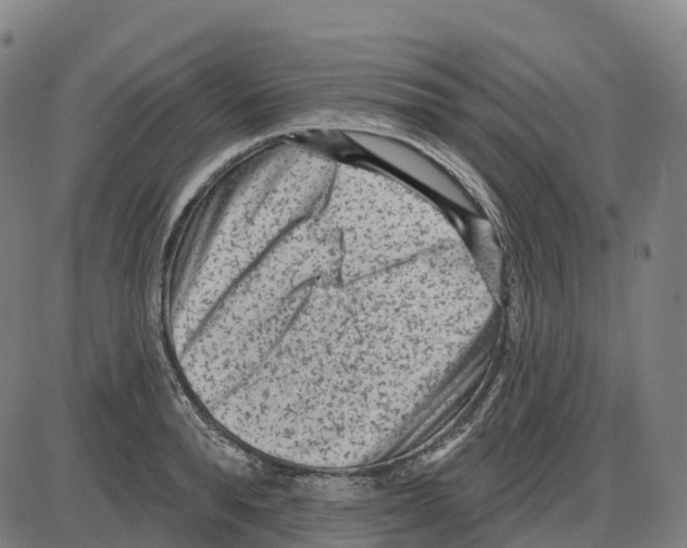 X0000083990896200703161620