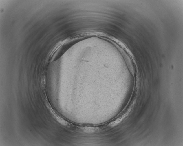 X0000083990897200703161620