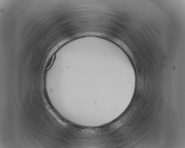 X0000083990898200703161620