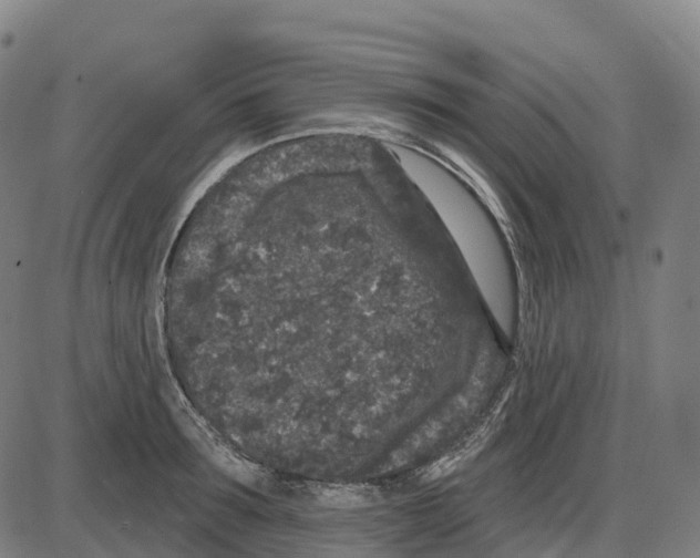 X0000083990899200703161620