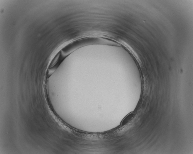 X0000083990901200703161619