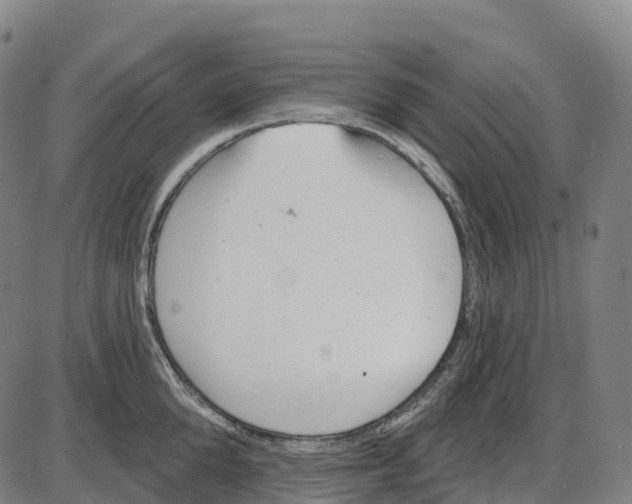 X0000083990904200703161619