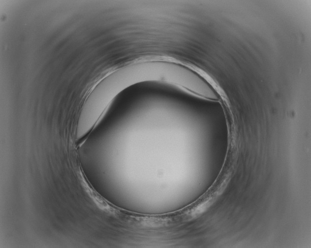 X0000083990905200703161619