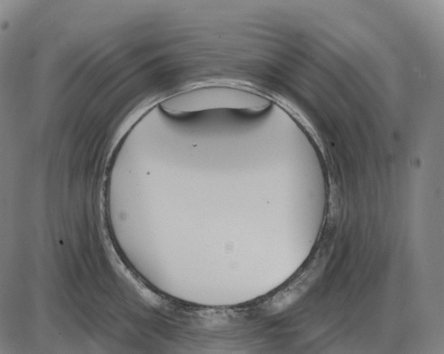 X0000083990906200703161619