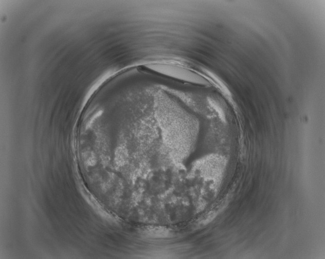 X0000083990907200703161619