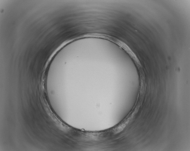 X0000083990908200703161619