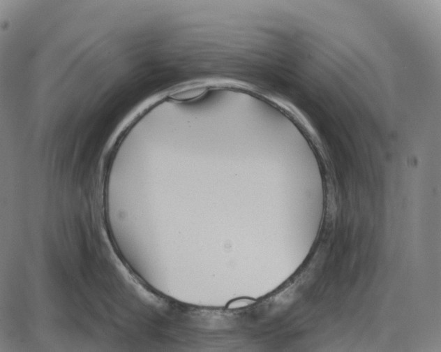 X0000083990910200703161619