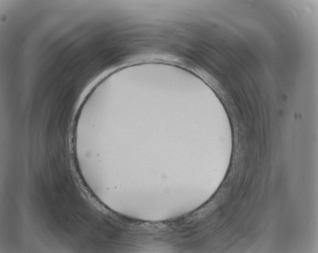 X0000083990912200703161619