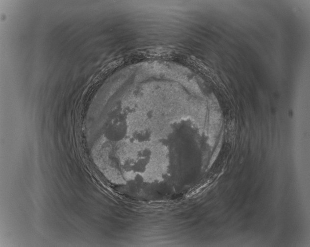 X0000083990913200703161619