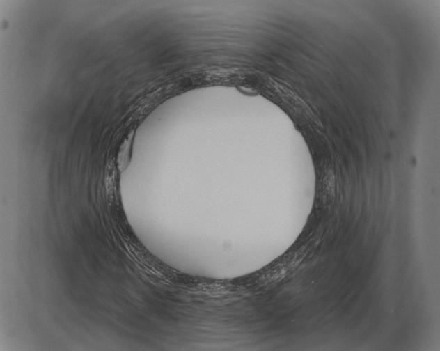 X0000083990914200703161619