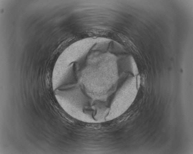 X0000083990915200703161619