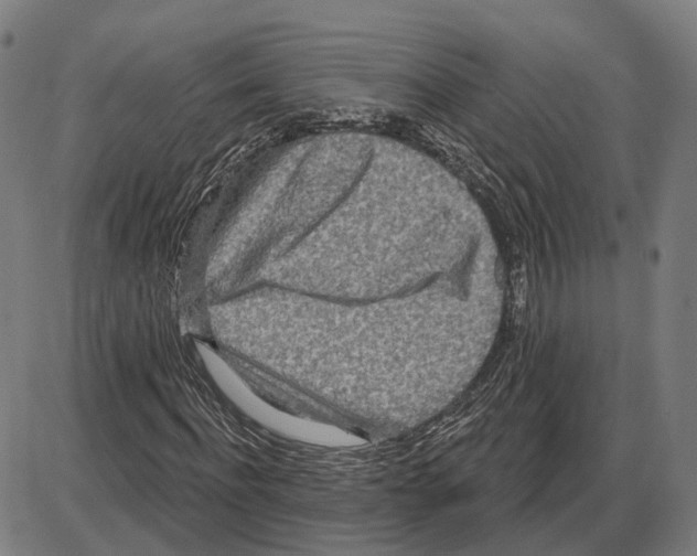 X0000083990916200703161619